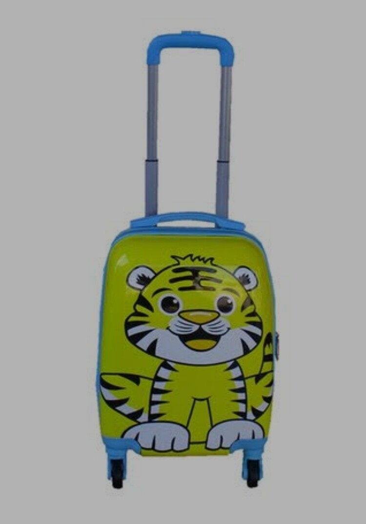 Kiddies Cartoon Hand Luggage Kids School Bag Suitcase for Children  The Beautiful   