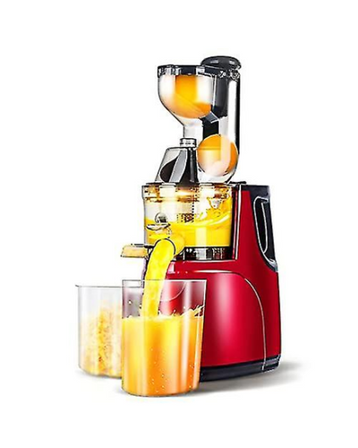 RAF 150w Multifunction Slow Juicer Machine  The Beautiful   